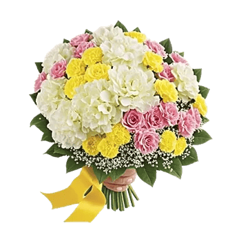 Petal Harmony Bliss