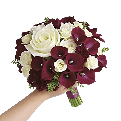 Blushing Rose Symphony