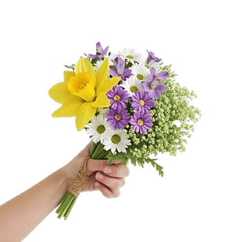 Blossom Harmony Display