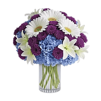 Ivory Blossom Radiance