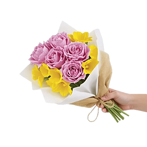 Petal Softness Display