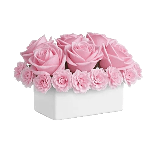 Pink Pastel Roses