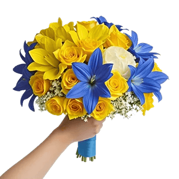 Blossom Harmony Display