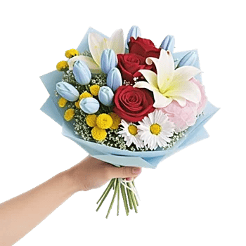 Pastel Blossom Grace