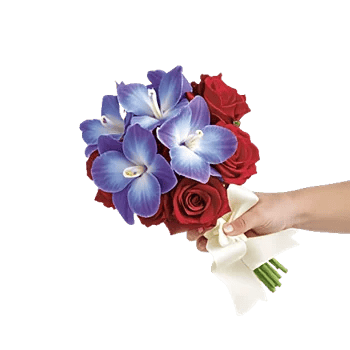 Petal Grace Harmony