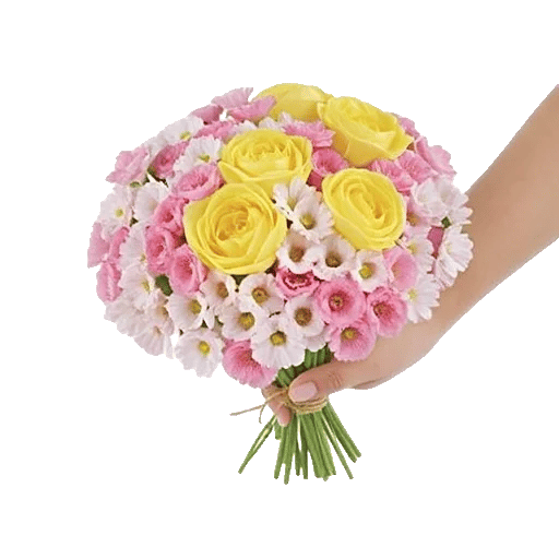 Delicate Petal Cascade