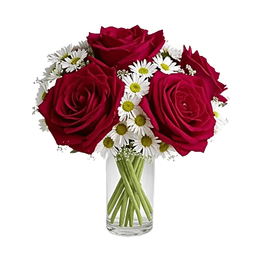 Crimson Blossom Harmony