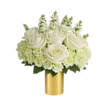 Ivory Blossom Radiance