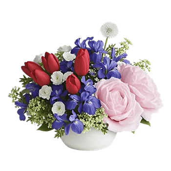 Velvet Tulip Display