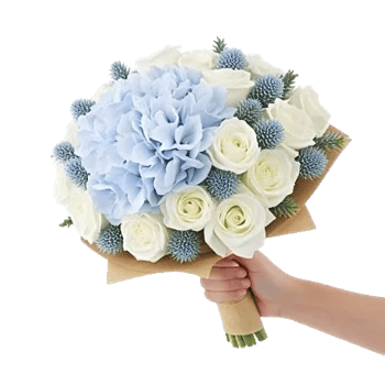 Serene Petal Harmony