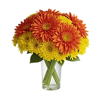 Radiant Bloom Cascade