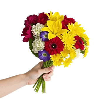 Blossom Harmony Display