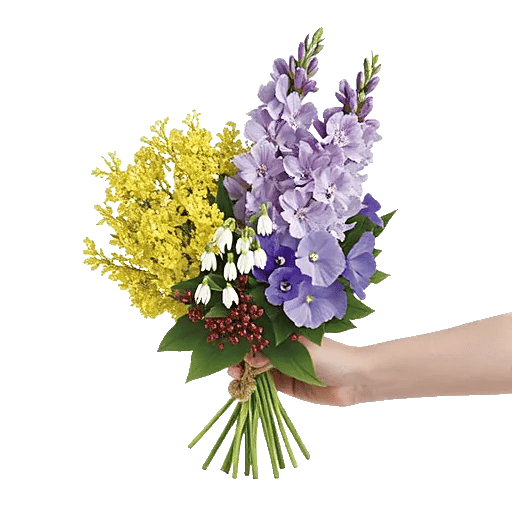 Blossom Harmony Display