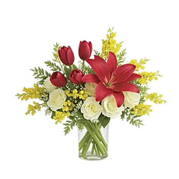 Scarlet Tulip Splendor