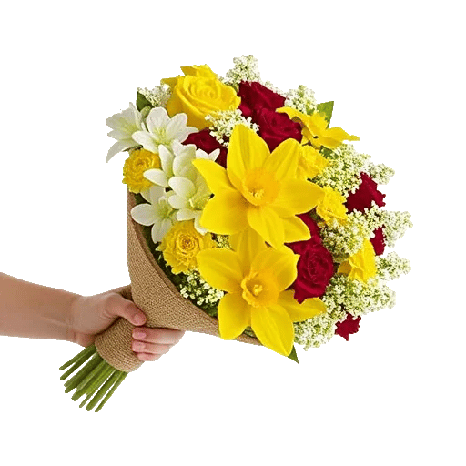 Blossom Harmony Display