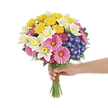 Petal Harmony Bliss