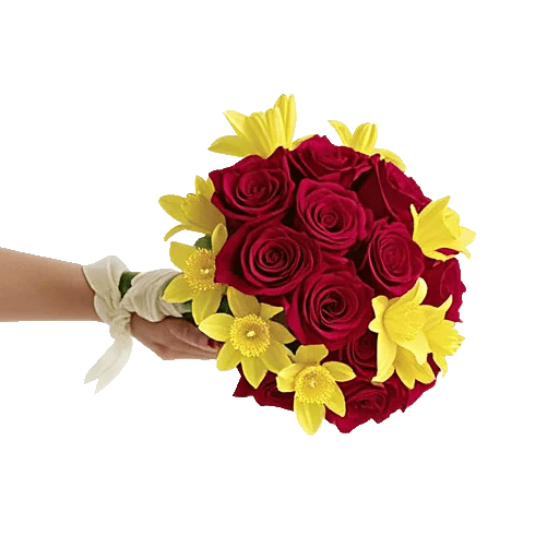 Crimson Rose Elegance