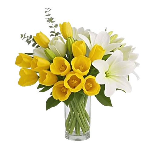 Velvet Tulip Display