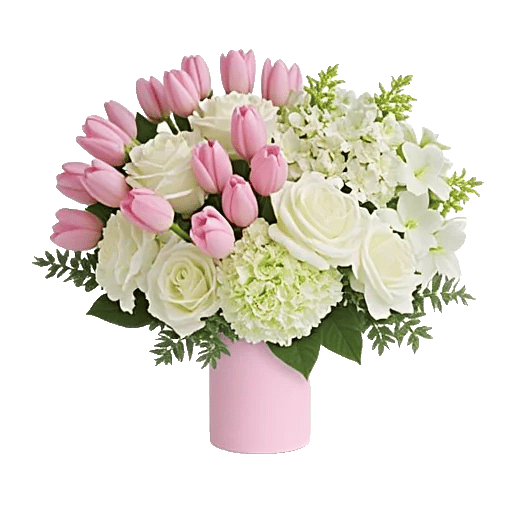 Velvet Tulip Display