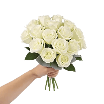 Ivory Garden Grace