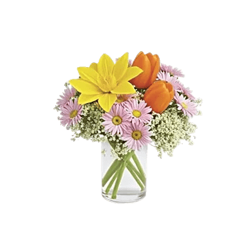 Petal Radiance Bliss