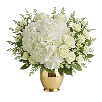 Ivory Blossom Radiance