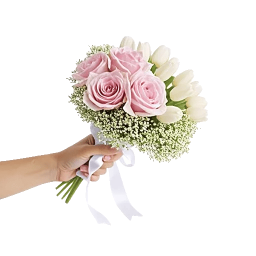 Blushing Rose Symphony