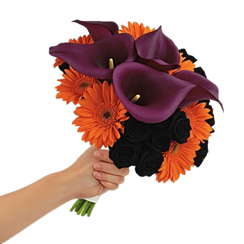 Elegant Calla Lilies