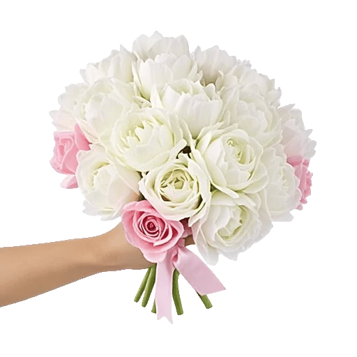Peony Petal Harmony