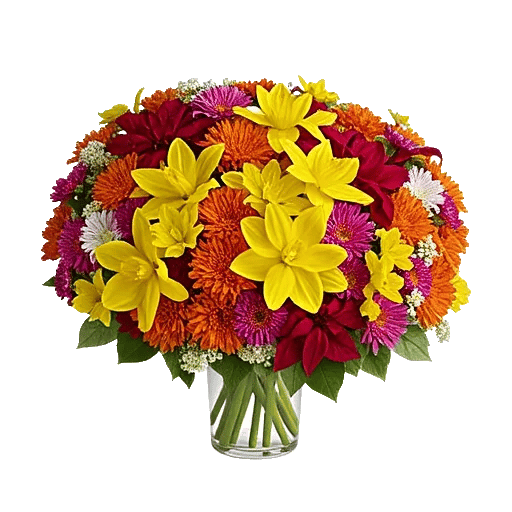 Petal Radiance Bliss