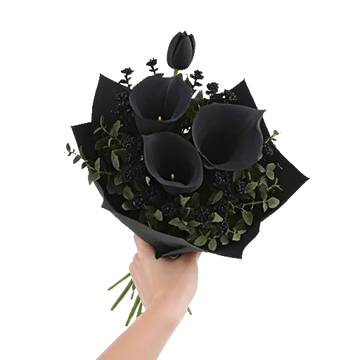 Elegant Calla Lilies