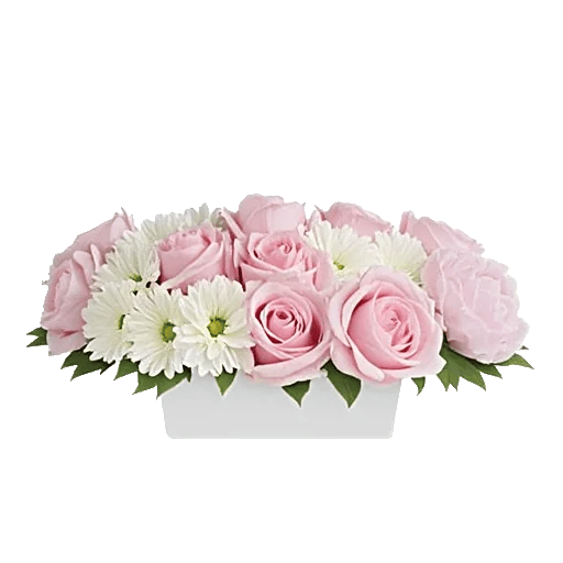 Delicate Petal Cascade