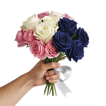 Pink Pastel Roses