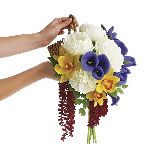 Delicate Petal Cascade