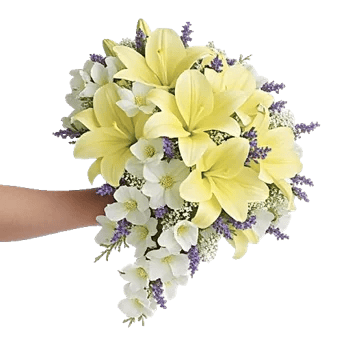 Delicate Petal Cascade