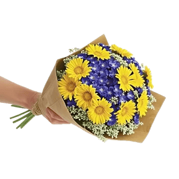 Daisy Meadow Spread
