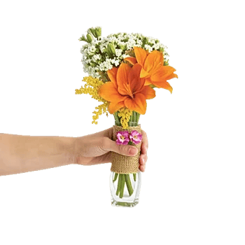 Graceful Lily Display