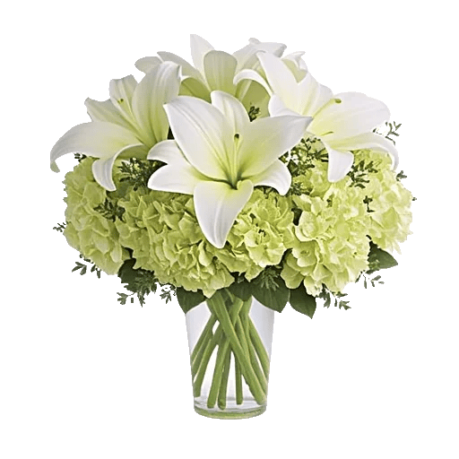 Ivory Blossom Radiance