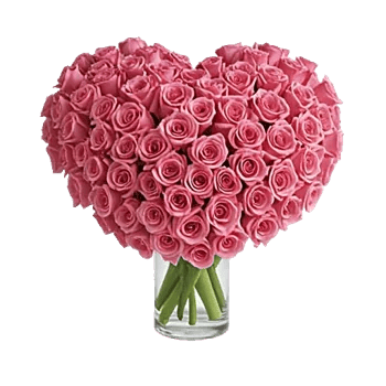 Radiant Rose Symphony