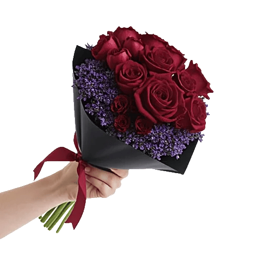 Crimson Rose Elegance