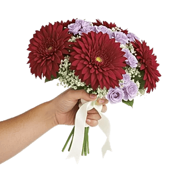 Crimson Blossom Harmony