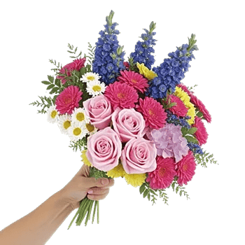 Blossom Petal Serenity