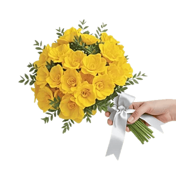 Blossom Harmony Display