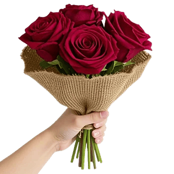 Crimson Rose Elegance