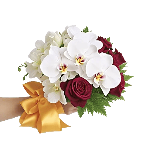 Serenity Orchid Bloom