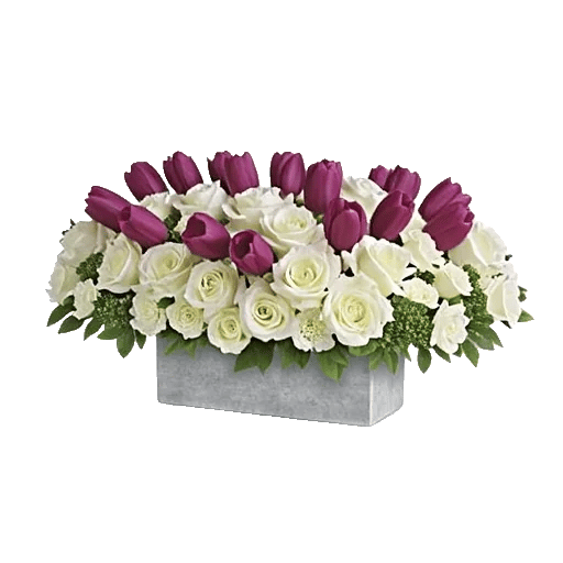 Velvet Tulip Display