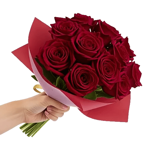 Crimson Rose Elegance