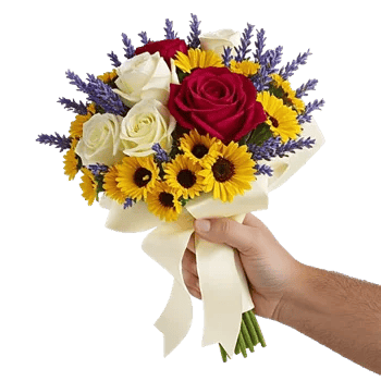 Radiant Rose Symphony