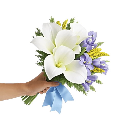 Elegant Calla Lilies