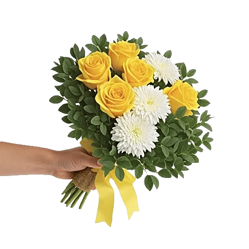 Blossom Harmony Display